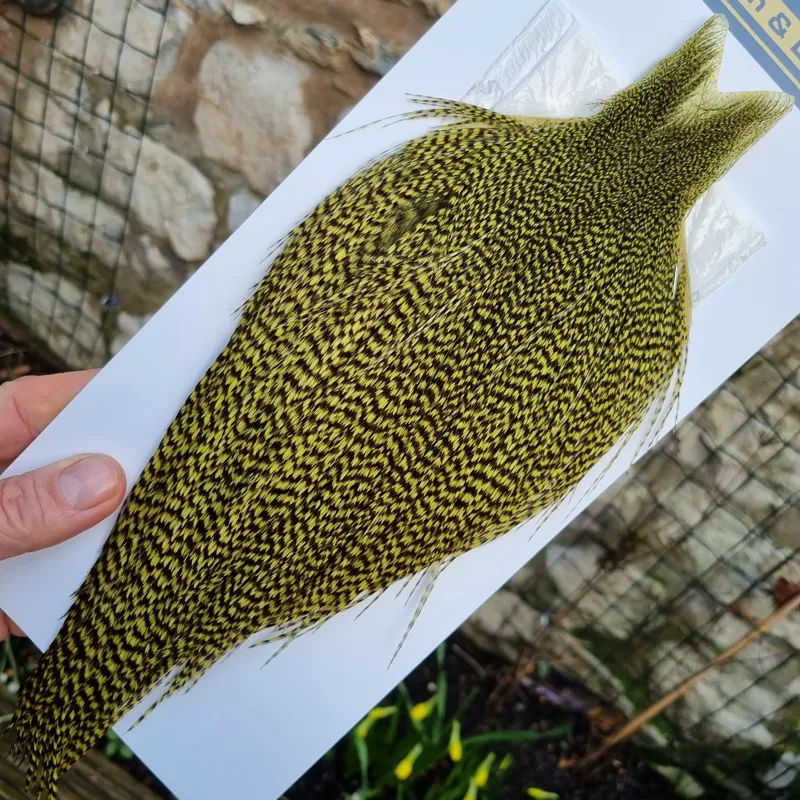 Whiting High and Dry Rooster Cape in Grizzly in Olive-2